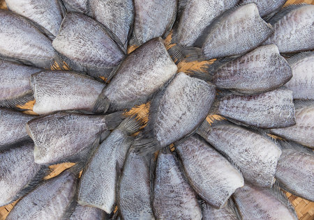 Fish are cleaned and trimmed. And ready to cookの写真素材