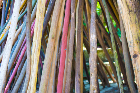Various sizes and colors of logs. Many are placed vertically.の写真素材