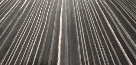 Wood veneer with a beautiful natural pattern in the perspective with a depth dimension.