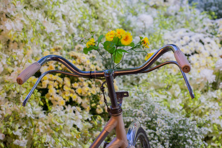 Ancient bicycle shapes and backdrop with flowers are very beautiful decoration.の写真素材