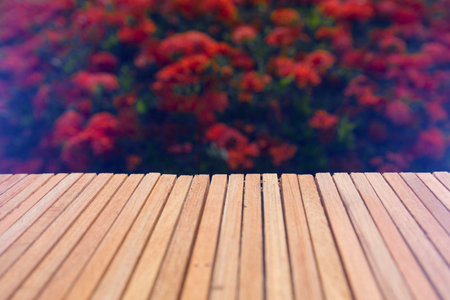 Wooden floor slats against backdrop of blurred reddish blush.の写真素材