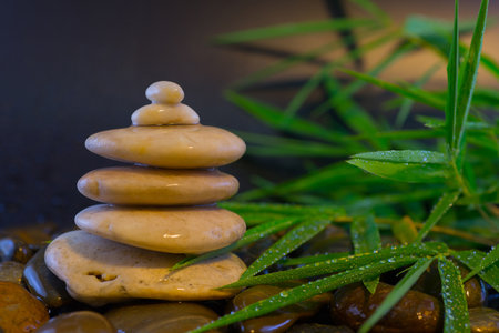 Relaxation concept, white stones stacked with balance and with the leaves of green bamboo, fresh from the scattered water.の写真素材