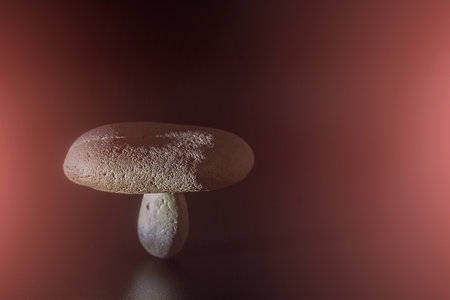 Balanced shapes, shapes and natural textures stand together in balance on a colorful background.の写真素材