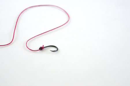 A single fishing hook hooked with red rope on a white background.の写真素材