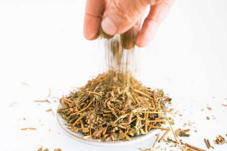 The hands are sprinkling the tea leaves on a white background.