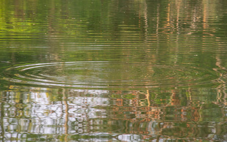 Image of a water surface that is moving in a wide area
