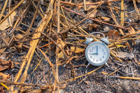 The concept shows the meaning of time with the image of a clock placed on the ground.