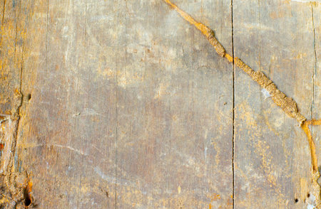 Old wood surfaces that have been eaten by termites.の写真素材