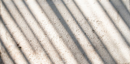 Light and shadow lines of objects on a white concrete wall.の写真素材
