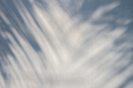 The texture of the light and shadow of the natural leaves in motion