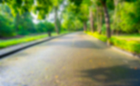 blurry photo of Outdoor atmosphere in the park in the morning and freshness with greenery.の写真素材