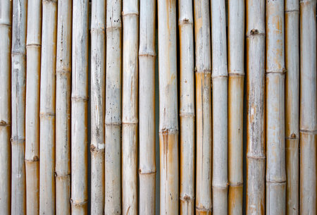 Wall pattern designed with bamboo.の写真素材
