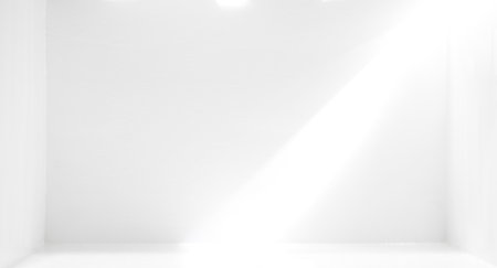 White background with empty space and light
