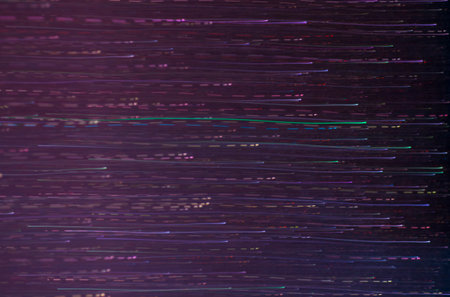 Moving green light purple lines