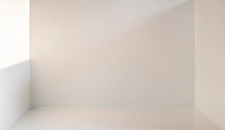 Inside the white room, there is an empty space with light and shadow.