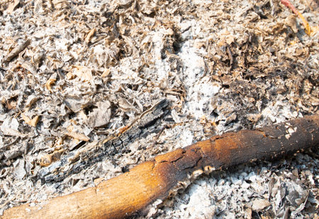 Burning ashes of dry leaves that is polluting the environment