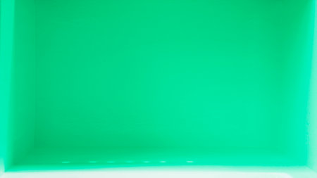 Light and shadow. Interior. Fresh green room with empty space.の写真素材