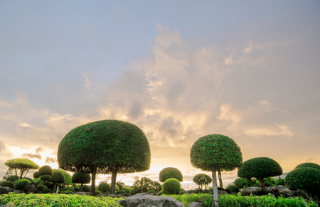 Blue tone electronic circuit boardの写真素材