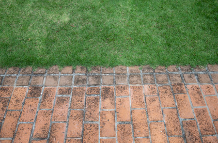 pavement in the garden outdoorの写真素材