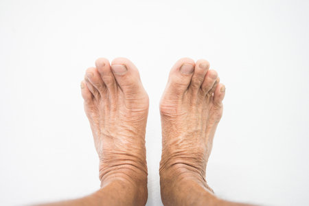 feet on a white backgroundの写真素材