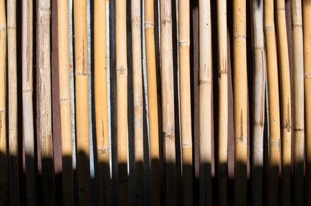 Concepts and ideas for the background of bamboo sceneの写真素材