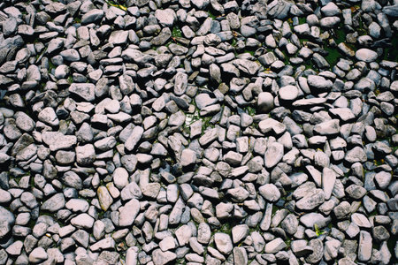 Lots of pebbles pattern as background. Monotone color.