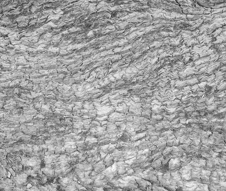 the surface of the object according to the nature of the wood