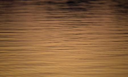 Wave texture. Water streaks abstract pattern. golden yellow light with black shadowの写真素材