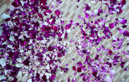 Dried flowers, plants, herbs for processing into food and medicine for good health.の写真素材