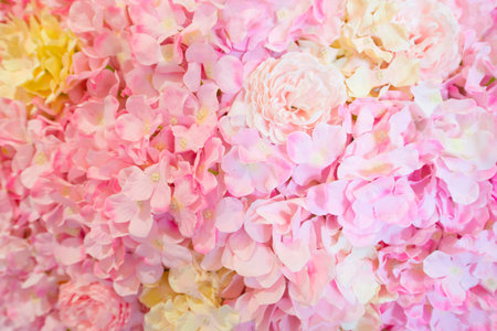 pink rose petals background patternの写真素材