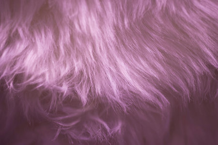 texture picture dyed hair background