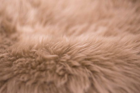 close up of fur textureの写真素材