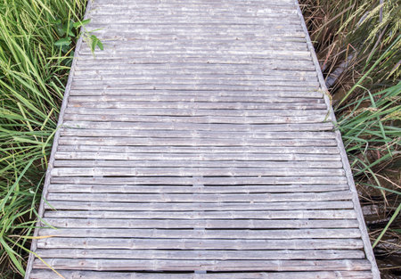 The pattern of natural bamboo wood used to decorate.の写真素材