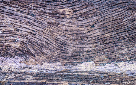 Naturally worn, old wooden surface patterns are ideal for designing a background.の写真素材