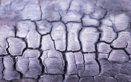 Object texture caused by combustion cracked and black surface