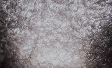 Images of objects, surfaces and backgrounds that are white-gray fabric fibers.の写真素材