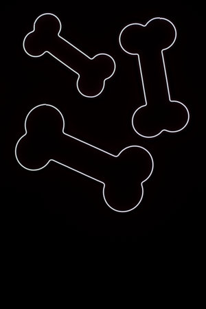 Dog bone graphic illustration on black background.の写真素材