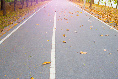 Road path in outdoor park