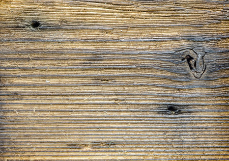 texture pattern burnt black horizontal woodの写真素材
