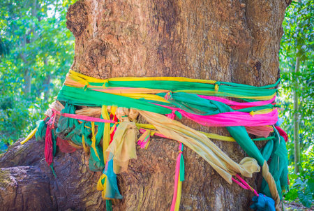 Photograph of colorful cloth tied around a large tree. It shows the beliefs and strategies of forest conservation among Asian people.の写真素材