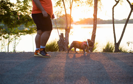 The lifestyle of people who take their beloved pets for outdoor exercise in parks.の写真素材