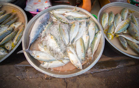 Picture of fish in the market products for buying and selling