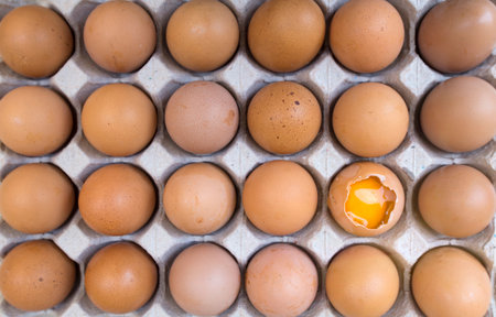Many eggs are stacked on a tray.の写真素材