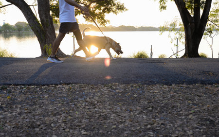Lifestyle, relaxation, recreation People and pets in outdoor parks during leisure time