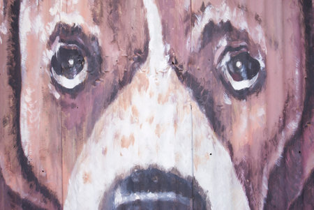 Close-up graphic of a dog's face with eyes.の写真素材