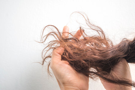 Hair loss problem concept. Woman's hand holding hair on white background