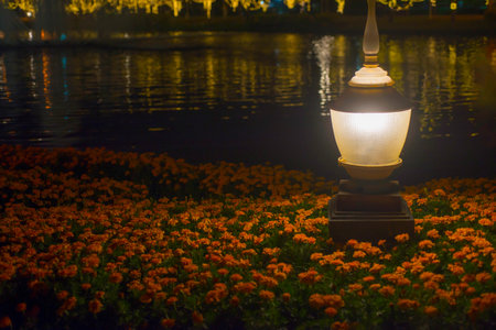 Lantern in the park at night with beautiful flowers in the foreground