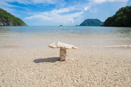 Rocks and balance on the beachの写真素材