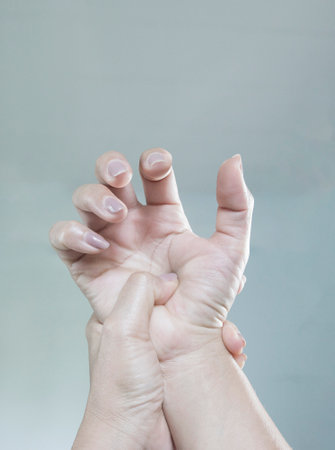 Female hands with french manicure on a gray background, close upの写真素材
