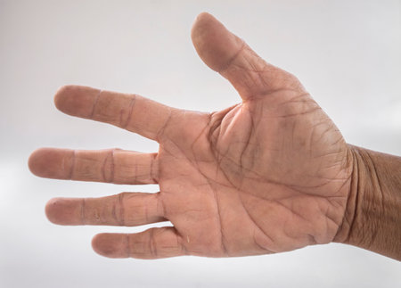 Person's hand showing palm linesの写真素材